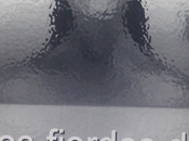 Reseña: fiordos Bjlaën