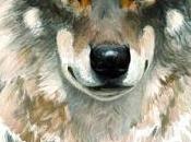 Encuentros lobos. Algo libro sobre lobos