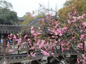 Consejos para viajar China