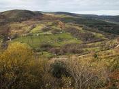 busca molinos viento