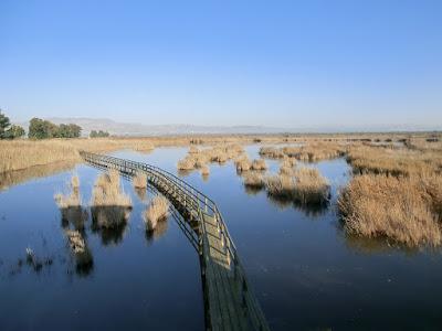 Parque Natural-El Fondo.
