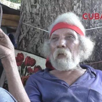 Conoce la historia del cubano que tiene por casa un flamboyán