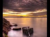 GOTAS DEMOCRACIA, @Parnasillo @ElDiestro_