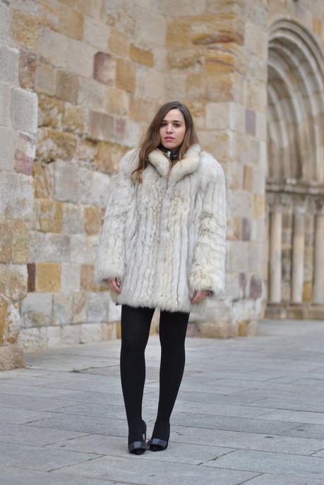  photo DSC_0251_zpsc8spiwgh.jpg