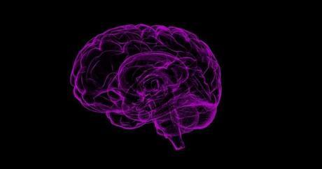 ¿Es fiable la neurociencia?