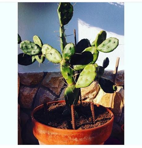 sDIOSAS 119 #lOOKS oF THE dAY