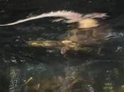 Captado video: Pitón birmana lucha caimán muerte