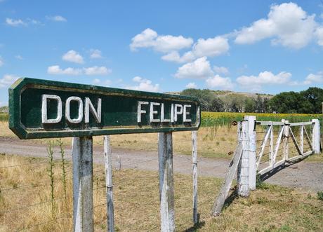 Año Nuevo en las Sierras - { Tandil en Chacra Bliss I}