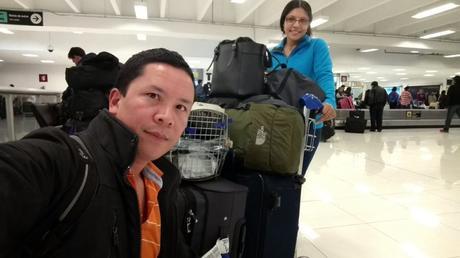 Requisitos para Viajar con Mascotas en Avión Requisitos para Viajar con Mascotas en Avión