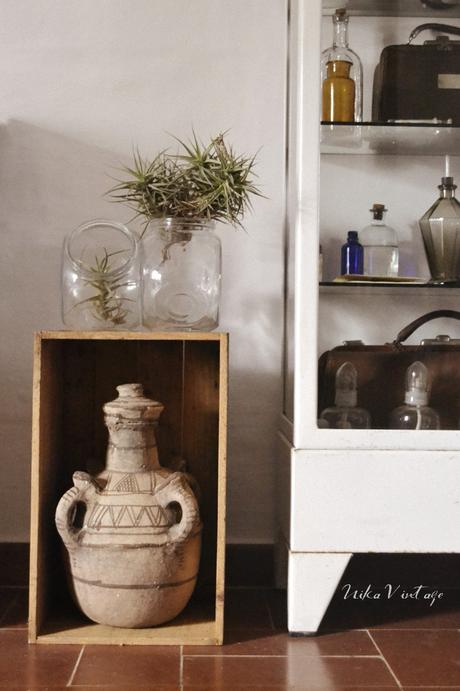 ALGO NUEVO - LA OFERTA DEL DÍA