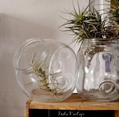 ALGO NUEVO - LA OFERTA DEL DÍA