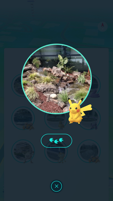 ¡Ya están los géneros en Pokémon GO!, ¡mira este pikachu hembra! ¡Ya están los géneros en Pokémon GO!, ¡mira este pikachu hembra!