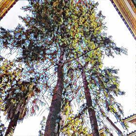 MUROS, relato de @LagartijaSoy vía @ElDiestro_