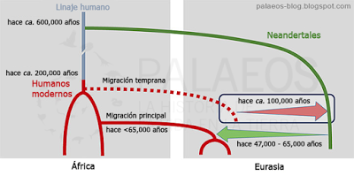 ADN de humano moderno en neandertales