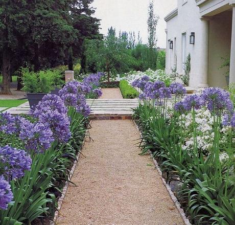 Jardines Minimalistas