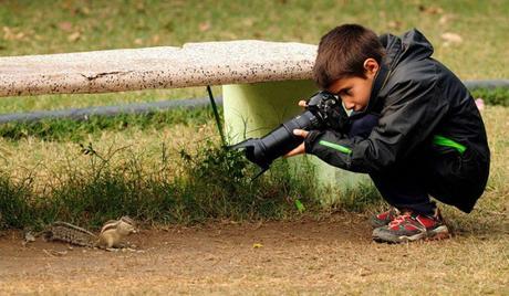 Que hacer en Navidad CON NIÑOS en Madrid: un plan distinto cada día