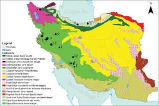 Artrópodos subterráneos de Irán