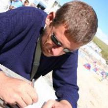 El medio es el mensaje