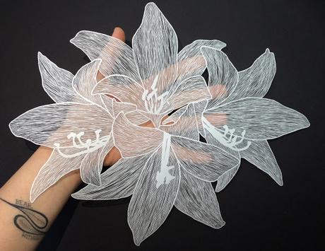 Maude White: Brave Bird Paper Art