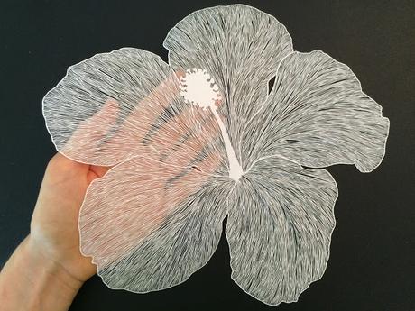 Maude White: Brave Bird Paper Art