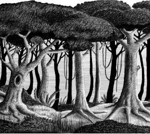 Agenda Cultural Enero 2017