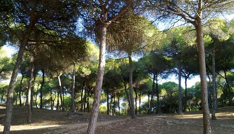 Bahía De Cádiz – Donde La Naturaleza Es Solo El Comienzo