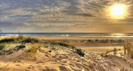Bahía De Cádiz – Donde La Naturaleza Es Solo El Comienzo