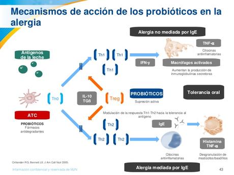 Los Probióticos y sus beneficios para la salud del ciclista