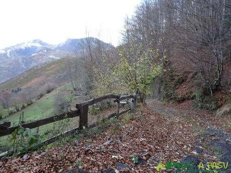 Ruta a Peña Melera y Los Pandos: Pista hacia las foces del Pino