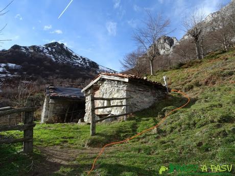 Ruta a Peña Melera y Los Pandos: Majada Gallos, Aller