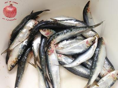 Sardinas en escabeche Sardinas en escabeche