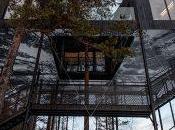 Esta casa árbol mejor lugar para disfrutar Aurora Boreal