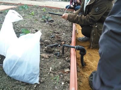 Sistemas de riego, protección y recogida