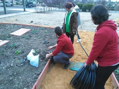 Sistemas de riego, protección y recogida