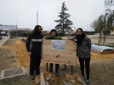 Sistemas de riego, protección y recogida