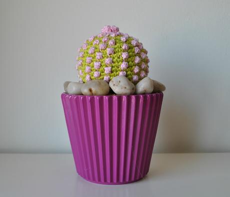 CACTUS DE GANCHILLO CON UNA NOTA DE COLOR