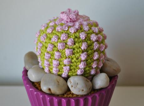 CACTUS DE GANCHILLO CON UNA NOTA DE COLOR