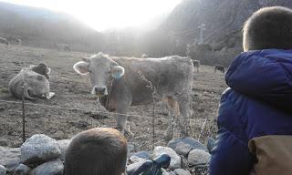 La Vall de Boí