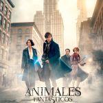 Animales fantásticos y dónde encontrarlos, un hombre pegado a una maleta