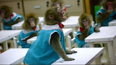 Llevar los vegetales a la escuela Llevar los vegetales a la escuela