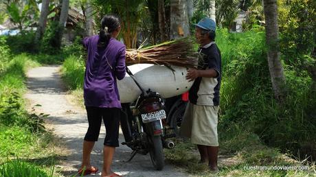 Ubud; un paseo por los campos de arrozales