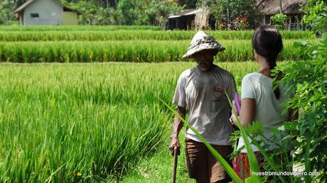 Ubud; un paseo por los campos de arrozales