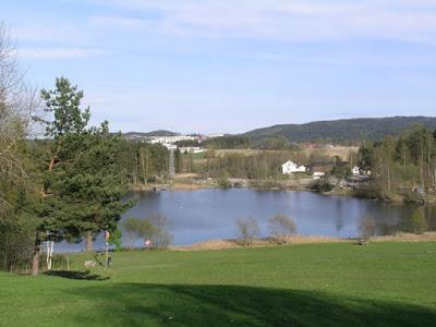 Gaviotas sombrías: anillas (1)