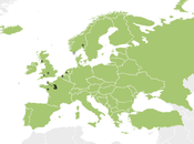 Gaviotas sombrías: anillas