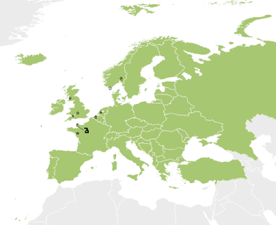 Gaviotas sombrías: anillas (1)