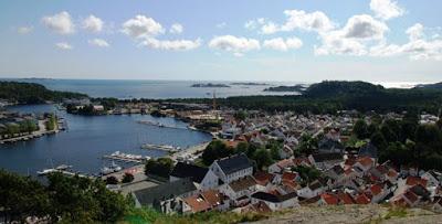 Gaviotas sombrías: anillas (1)