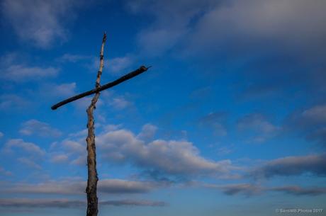 El cielo por testigo