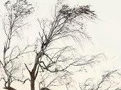 Reseña #242. Tierra hombres, Inma Chacón