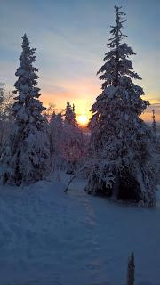 Viaje Laponia en Navidad