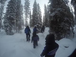 Viaje Laponia en Navidad